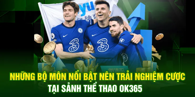 Những bộ môn nổi bật nên trải nghiệm cược tại sảnh thể thao OK365 